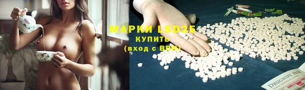 ГАЛЛЮЦИНОГЕННЫЕ ГРИБЫ Алексеевка