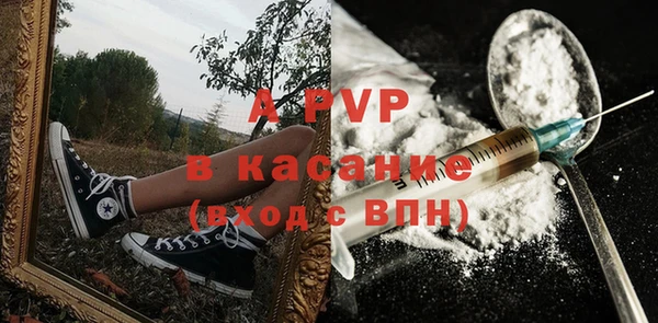 крисы Алексин