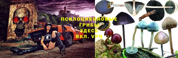 крисы Алексин