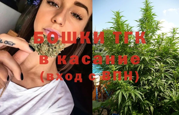 ГАЛЛЮЦИНОГЕННЫЕ ГРИБЫ Алексеевка