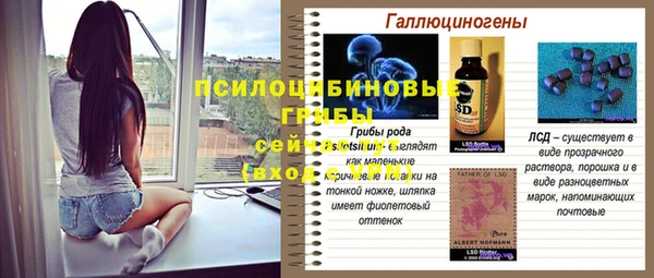 ГАЛЛЮЦИНОГЕННЫЕ ГРИБЫ Алексеевка