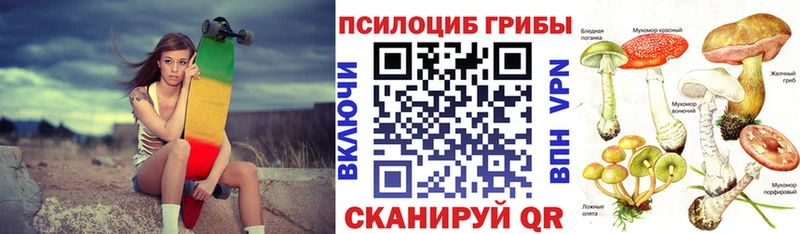 Псилоцибиновые грибы Psilocybine cubensis Арамиль
