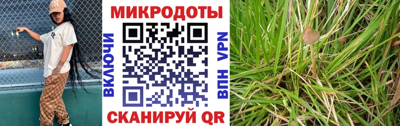 как найти Арамиль Галлюциногенные грибы Magic Shrooms